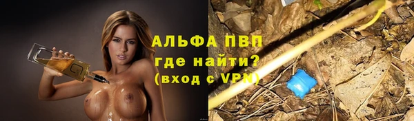 индика Балахна