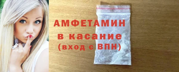 индика Балахна