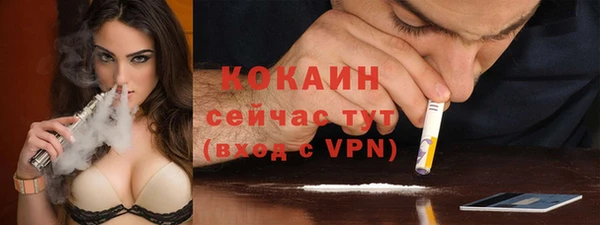 индика Балахна