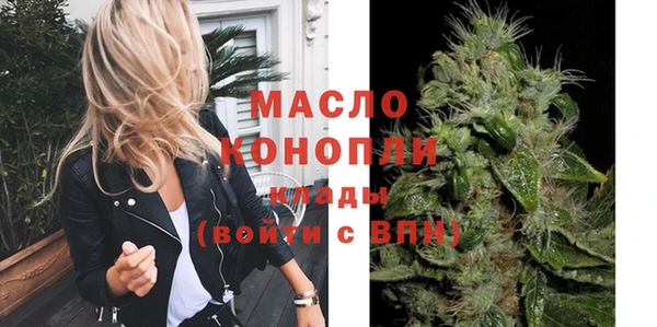 крисы Инта