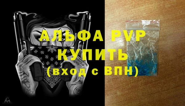 индика Балахна