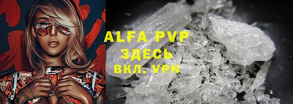 индика Балахна