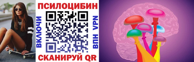 где можно купить   Вяземский  Галлюциногенные грибы мицелий 